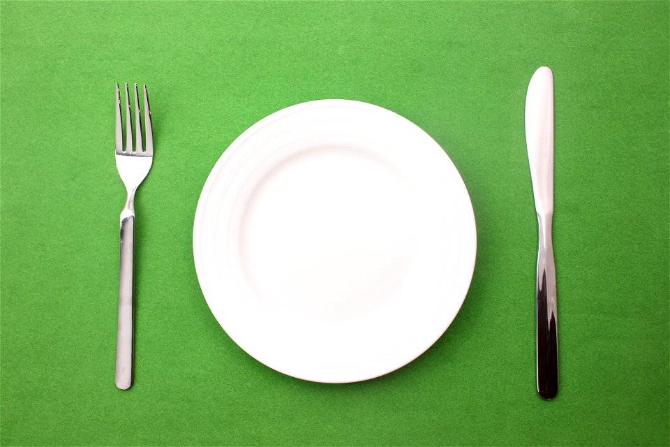 Dish Fork Knife