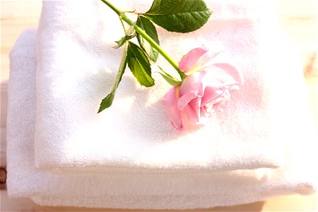 Rose Towel photo