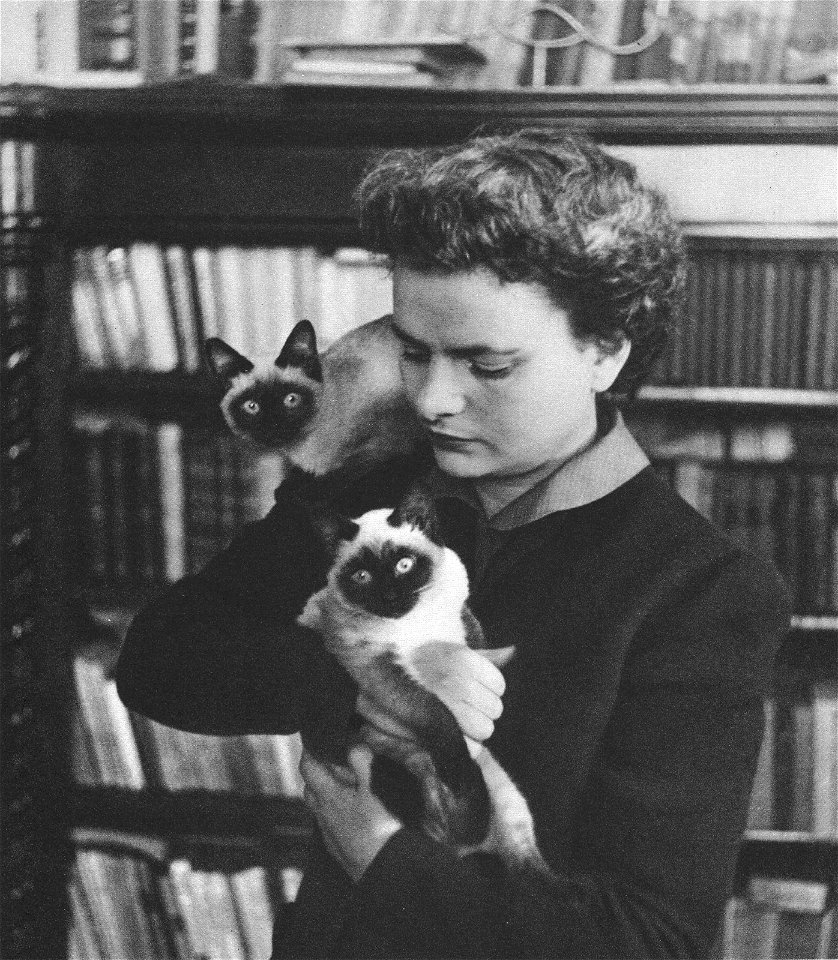 Elsa Morante Cat photo