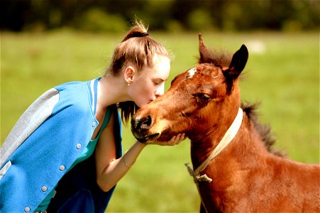 Horse Girl Kiss photo