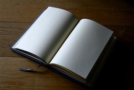 Book Blank photo