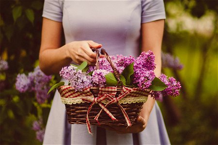 Flower Basket photo