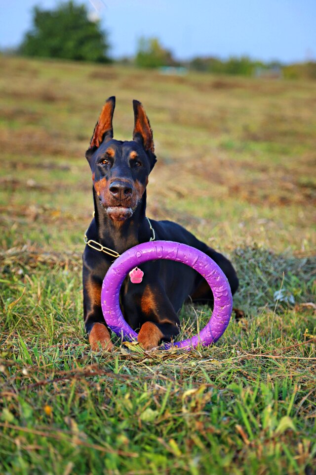 Hoop lie game