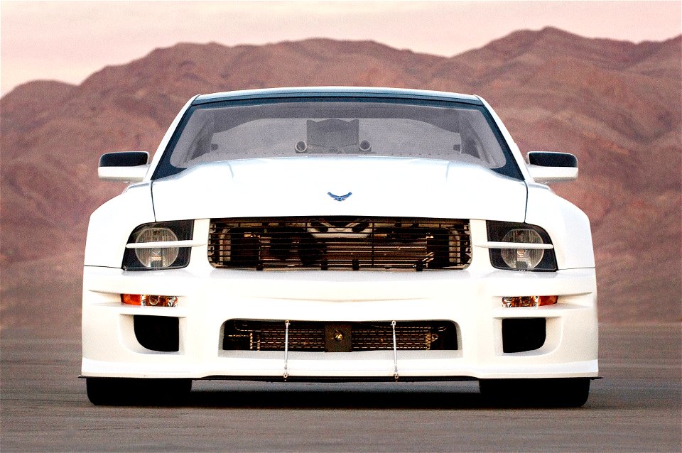 X Ford Mustang