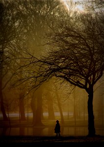 Park Mist Girl