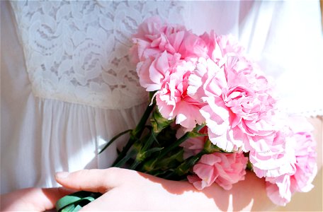 Carnations Bouquet photo
