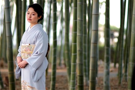 Woman Kimono Bamboo Forest photo