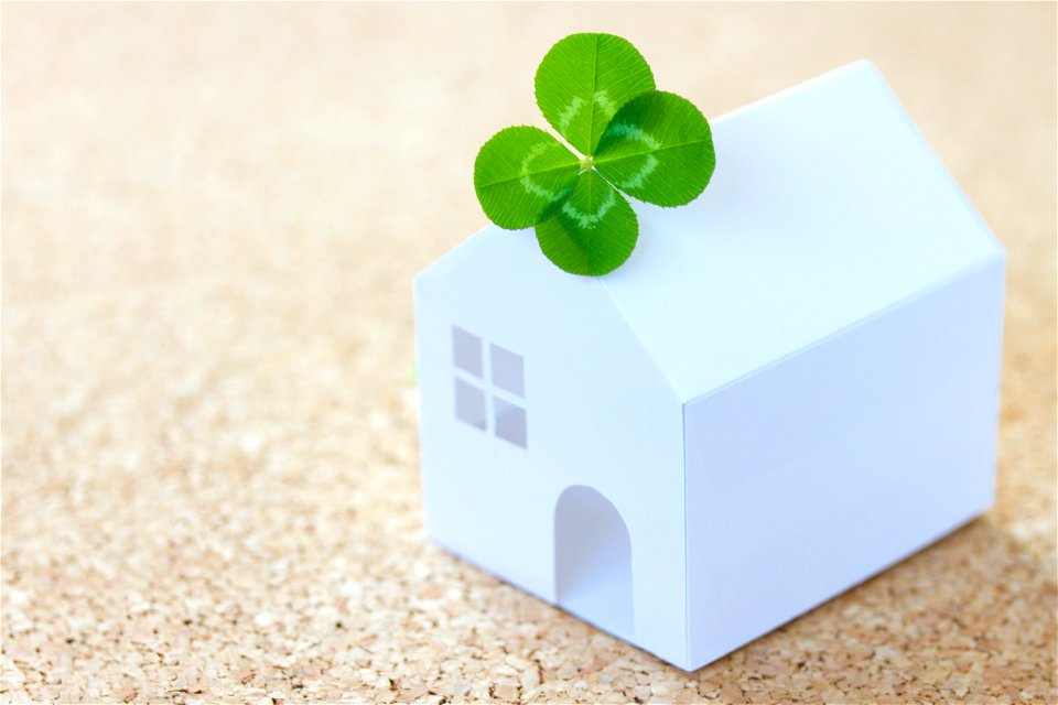 House Four Leaf Clover