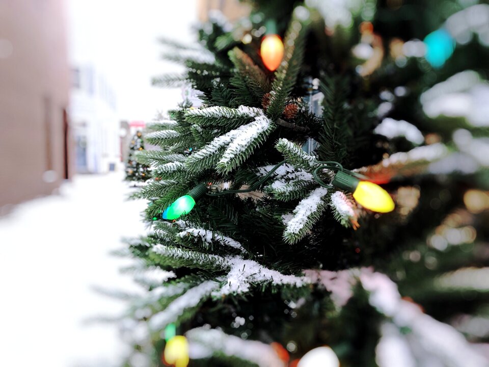Decoration celebration xmas