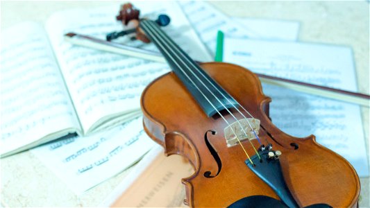 Violin Music Score photo