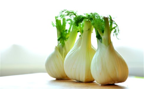 Fennel Vegetable photo