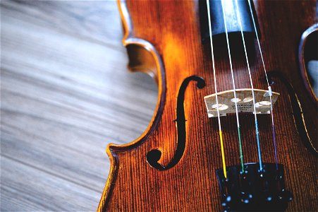 Violin Musical Instrument photo