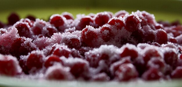 Fruit garden nature