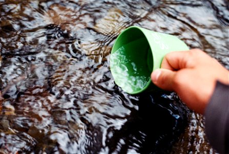 Water Cup Hand