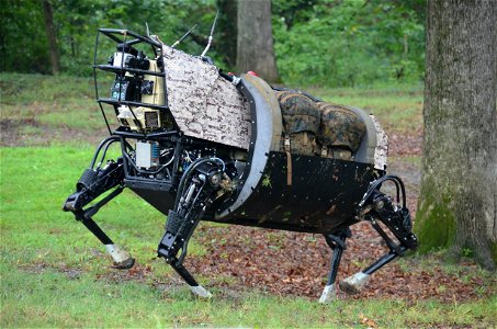Bigdog Robot