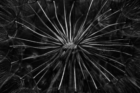 Black white monochrome low key