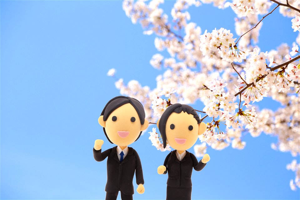 New Employee Cherry Blossoms