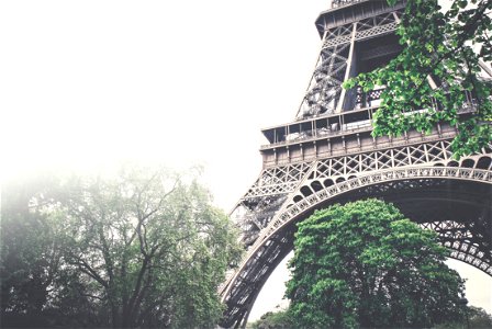 Eiffel Tower Fog photo