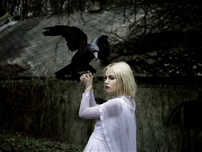 Woman Crow photo
