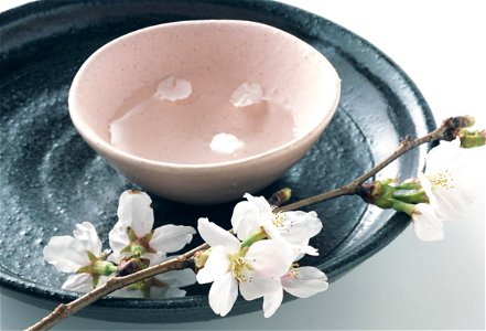 Cherry Blossoms Sake