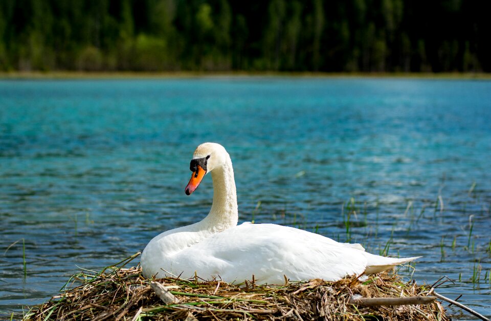 Kleinarl austria waters