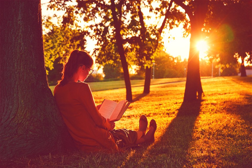 Girl Reading