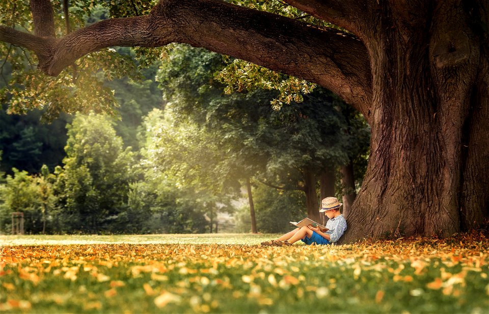 Boy Reading Book