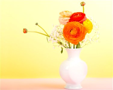 Ranunculus Flower Vase photo