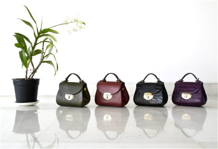 Handbag Fashion photo
