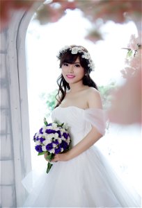 Wedding Bride photo