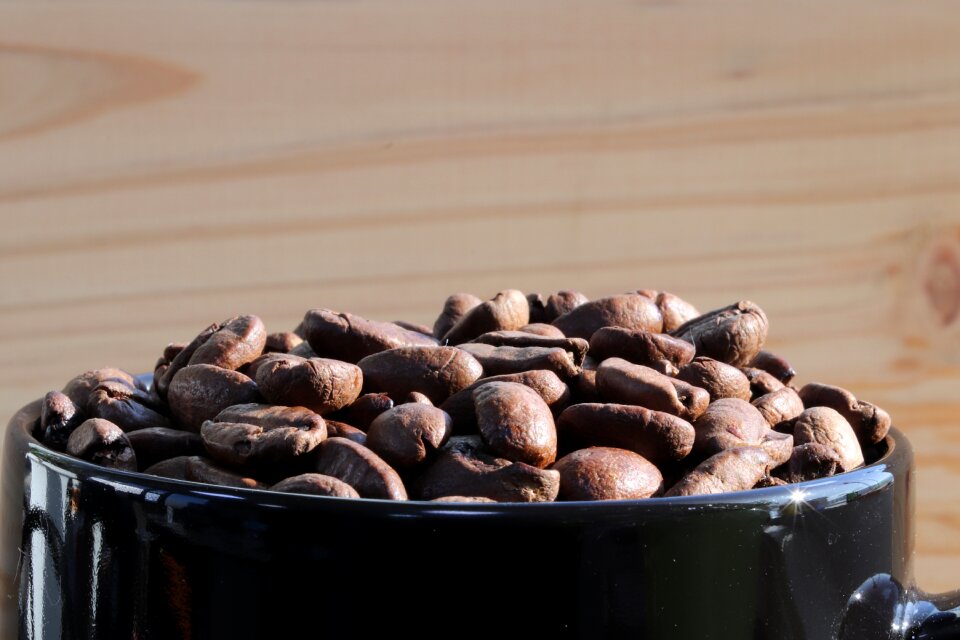 Coffee bean bean symbols food