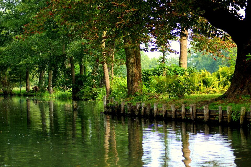 Water the stage summer