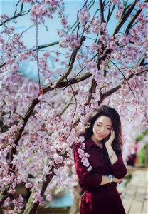 Woman Cherry Blossoms
