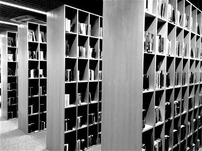 Library Bookshelf photo