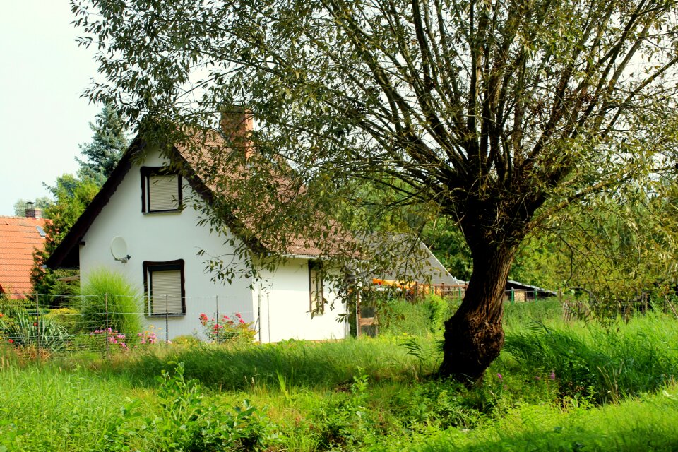 Landscape rural architecture window