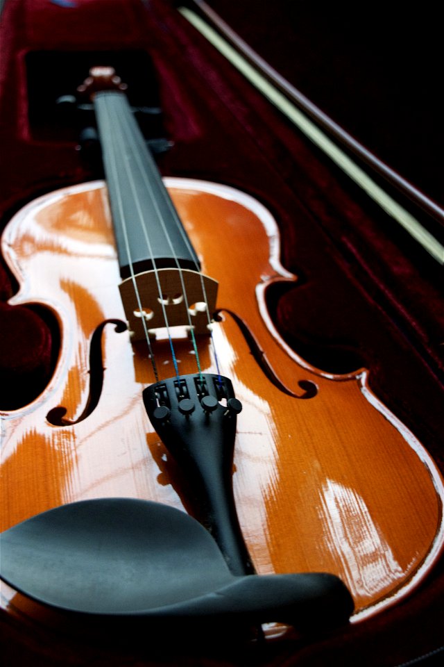 Violin Musical Instrument photo