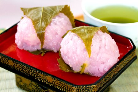 Sakuramochi Wagashi