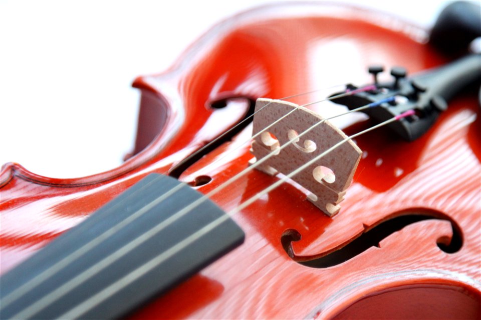 Violin Music photo