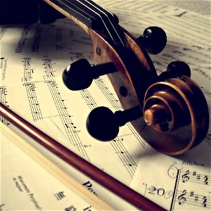 Violin Music Score photo
