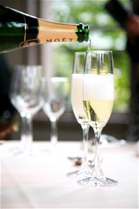 Champagne Drink