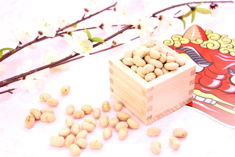 Setsubun Roasted Soybeans photo