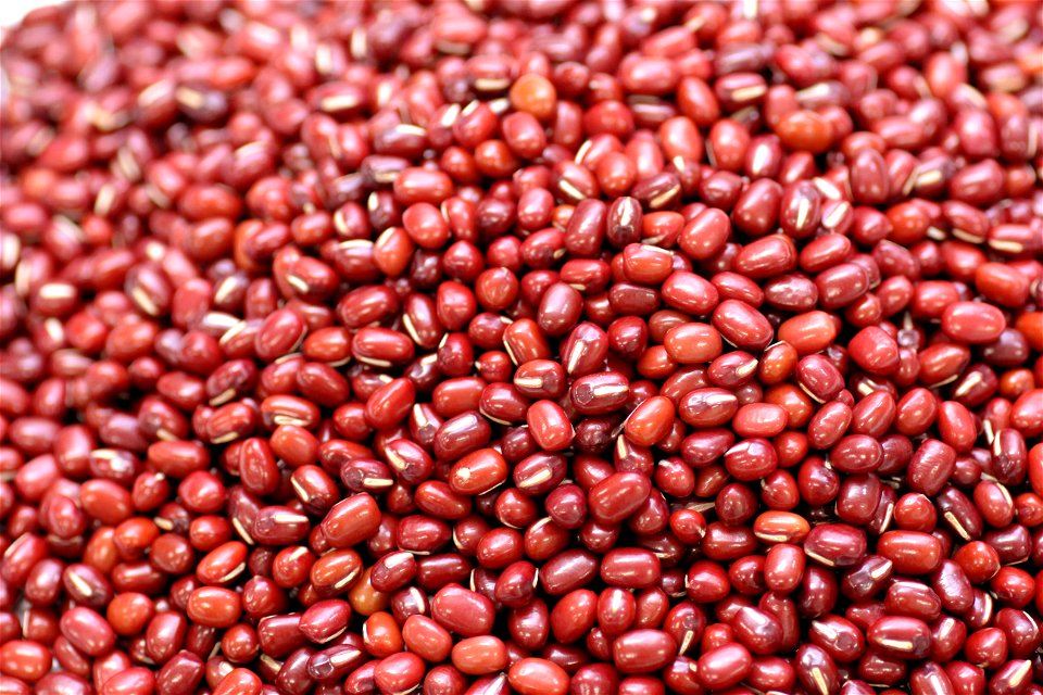 Adzuki Beans