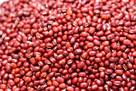 Adzuki Beans