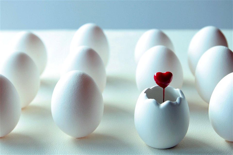 Egg Heart
