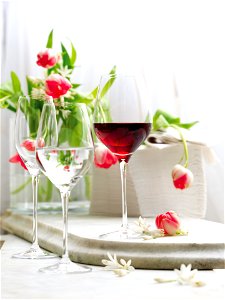 Wine Glass photo