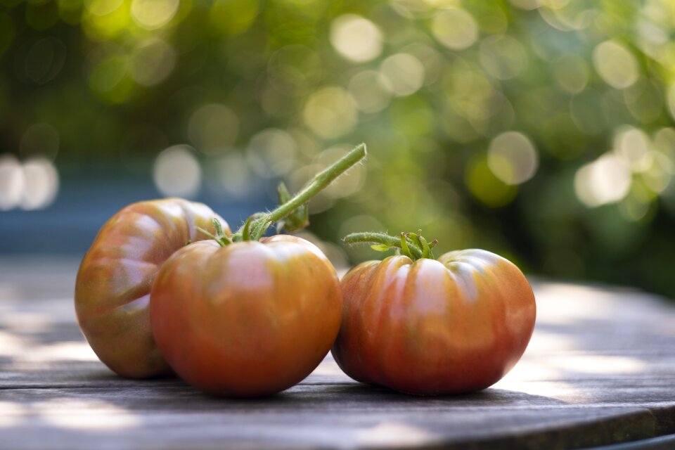 Garden red fresh