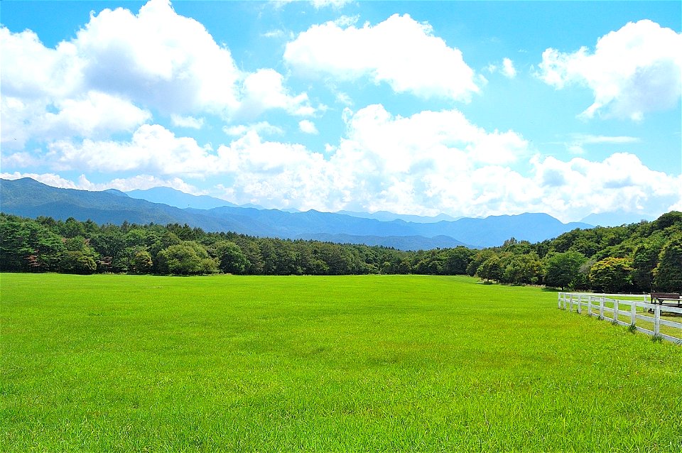 Ranch Meadow
