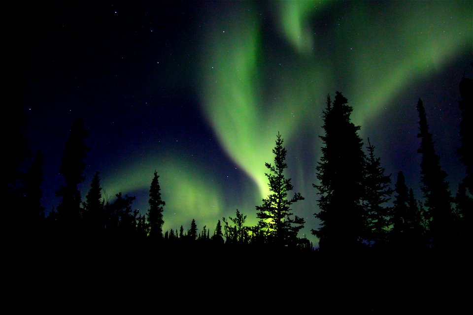 Aurora Northern Lights
