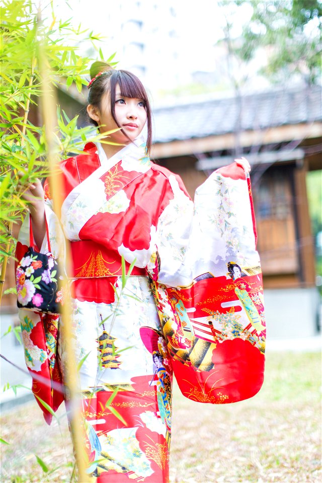 Woman Kimono