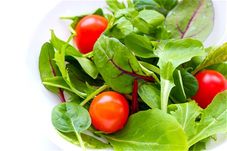 Salad Vegetable photo